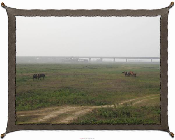 ������С IMG_1980.JPG