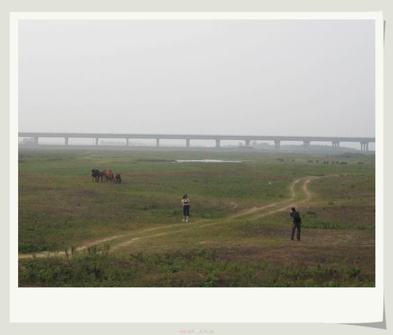 ������С IMG_1981.JPG