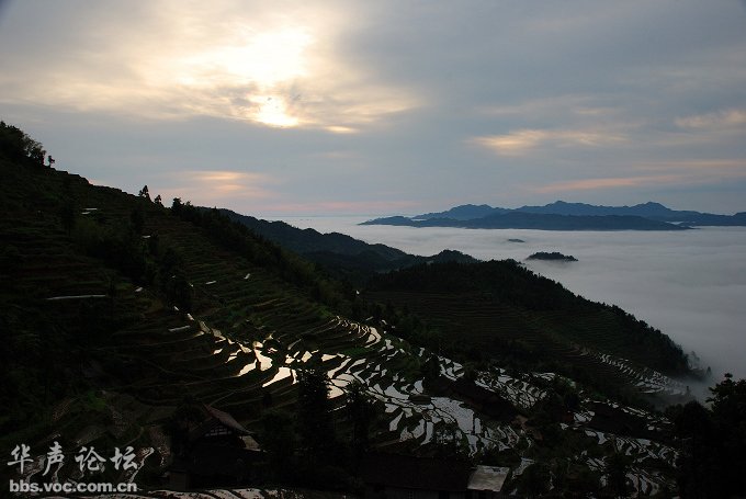 200905241132118641-2065202.jpg