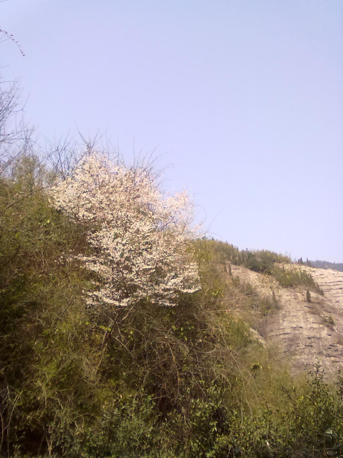 20110308569.jpg