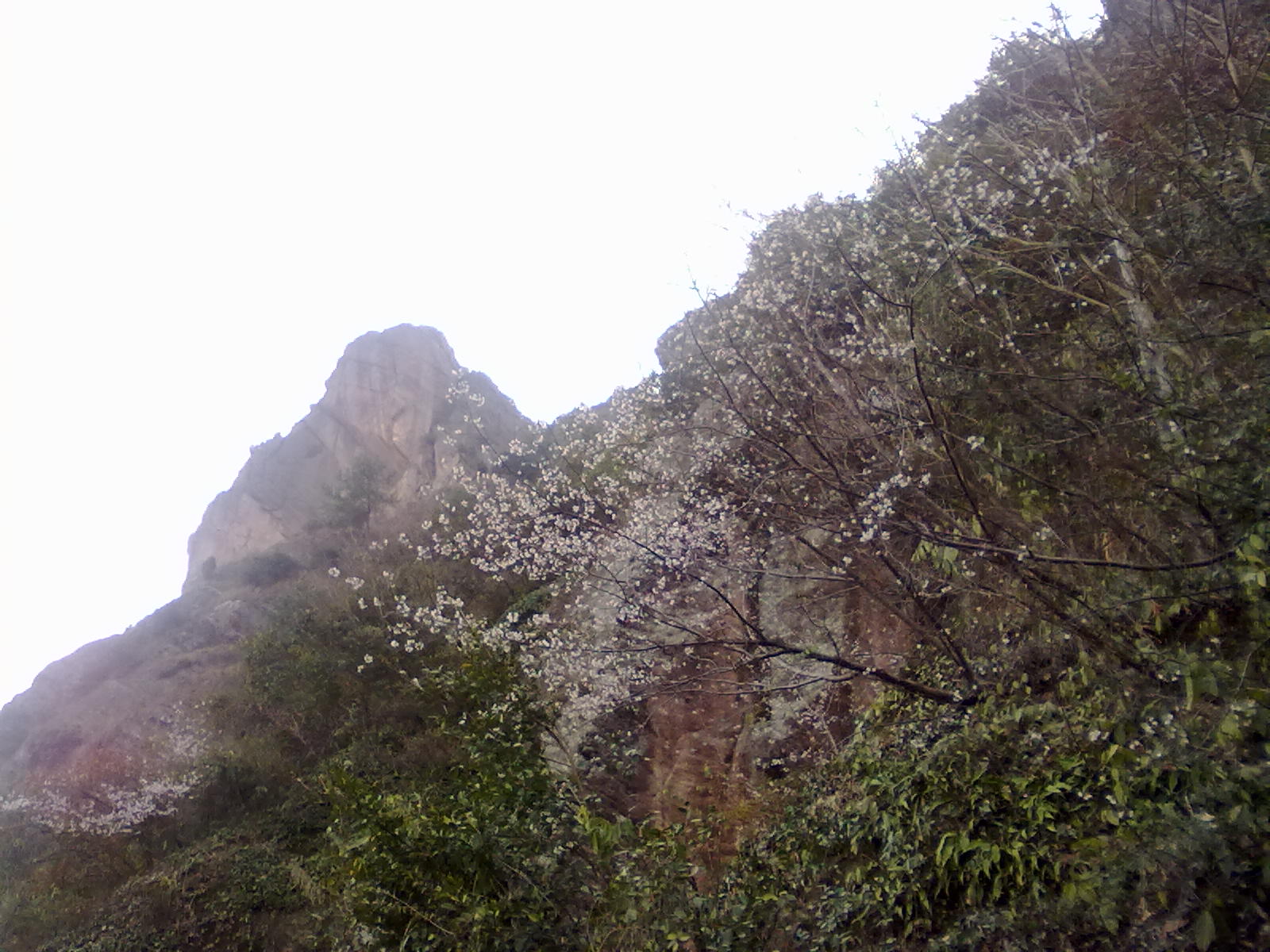 20110307553.jpg
