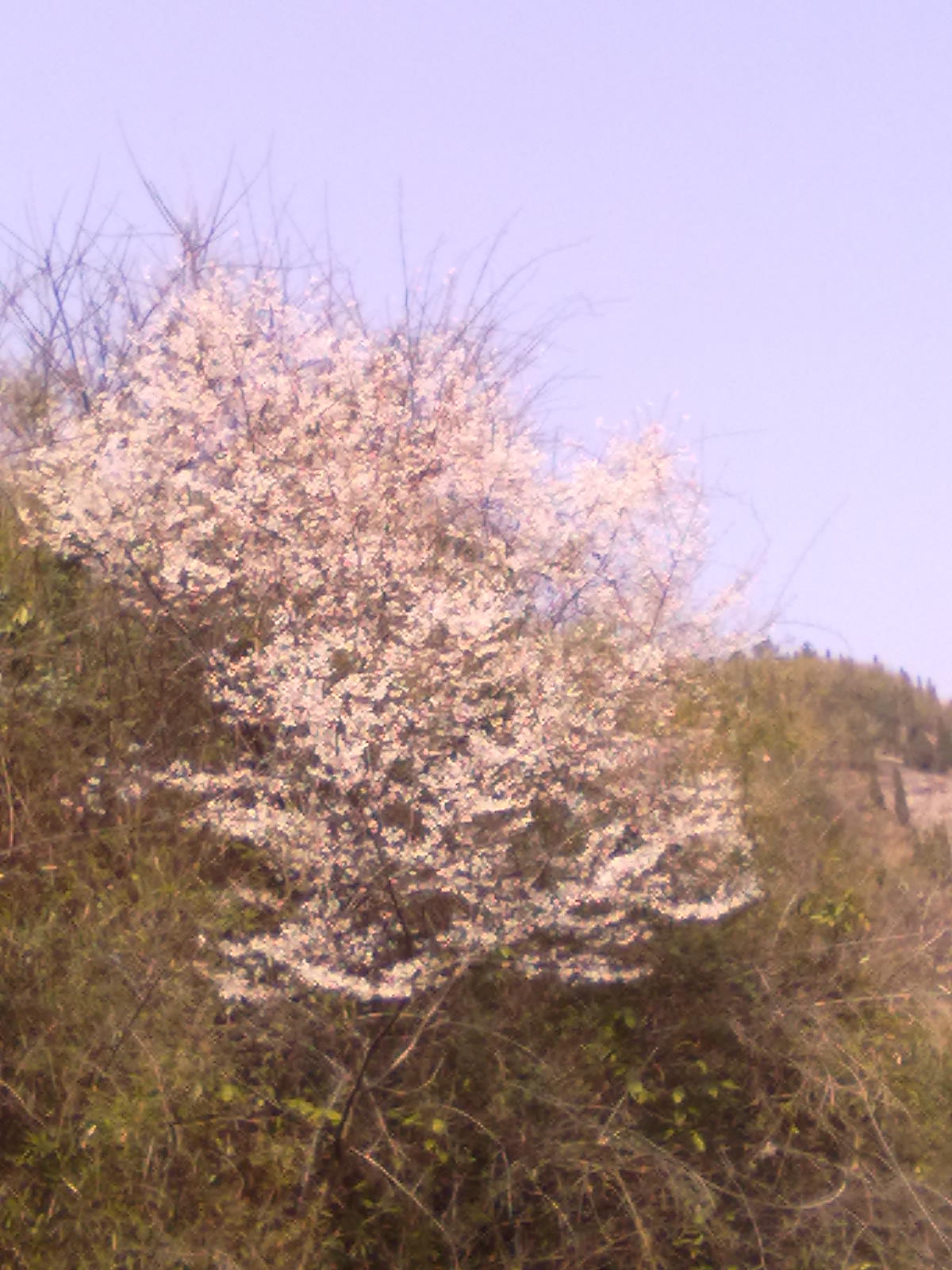 20110308570.jpg