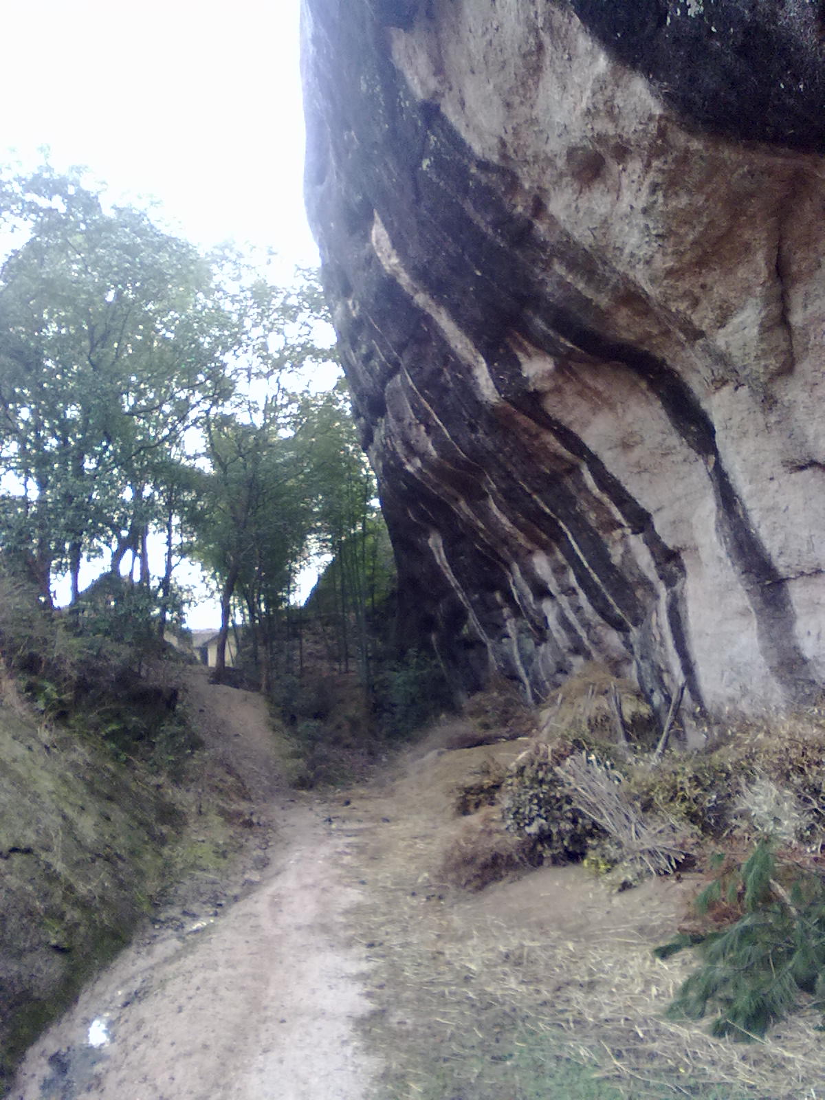 20110308563.jpg
