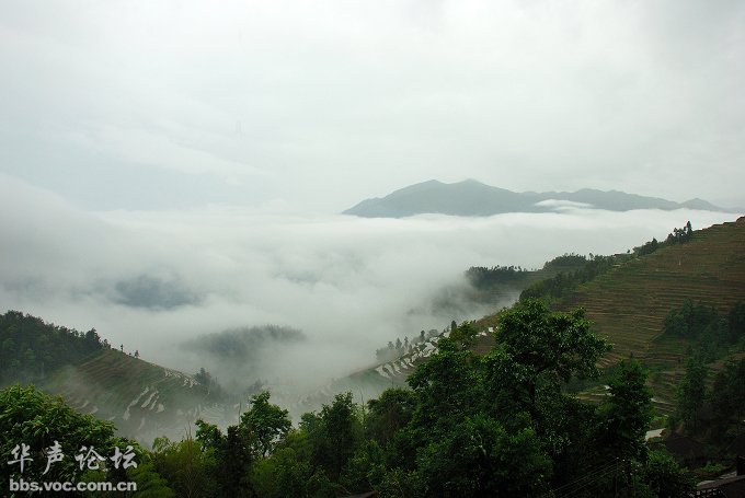 200905262243175971-2065202.jpg