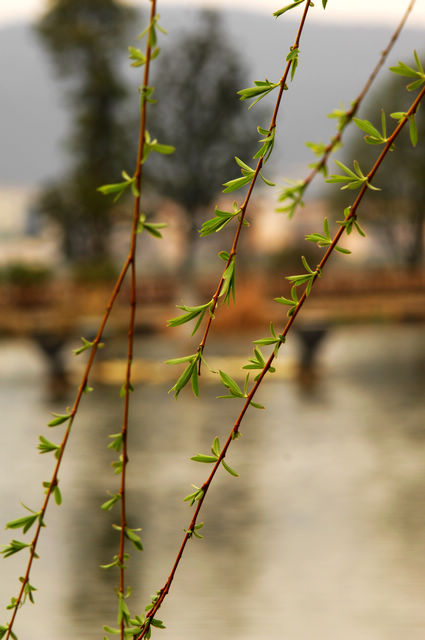 LEI_0020.jpg