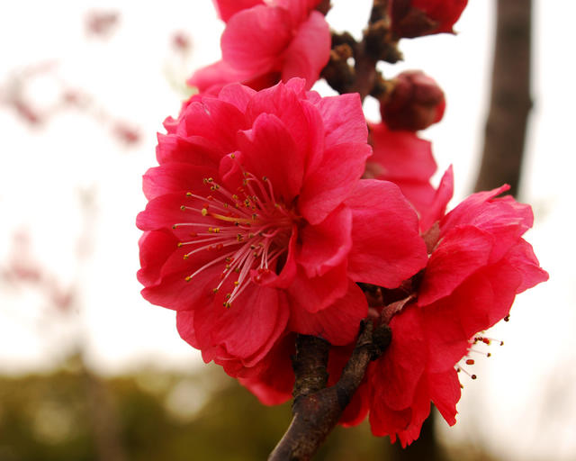LEI_0041.jpg
