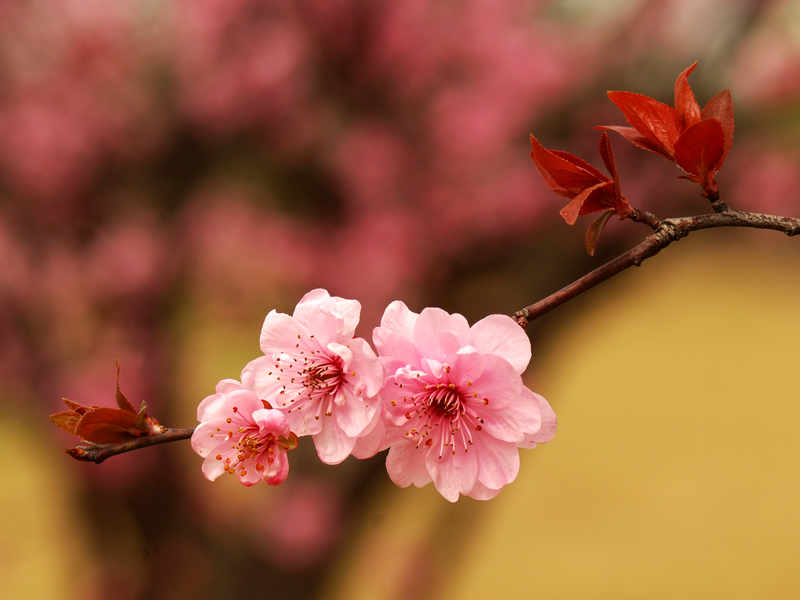 LEI_0111.jpg