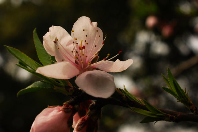 LEI_0034.jpg