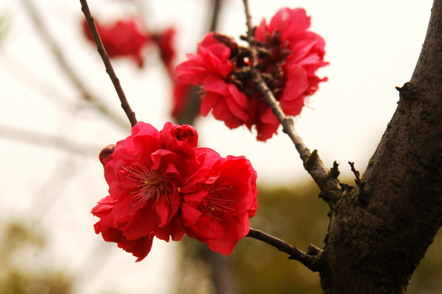 LEI_0043.jpg