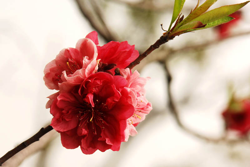 LEI_0047.jpg