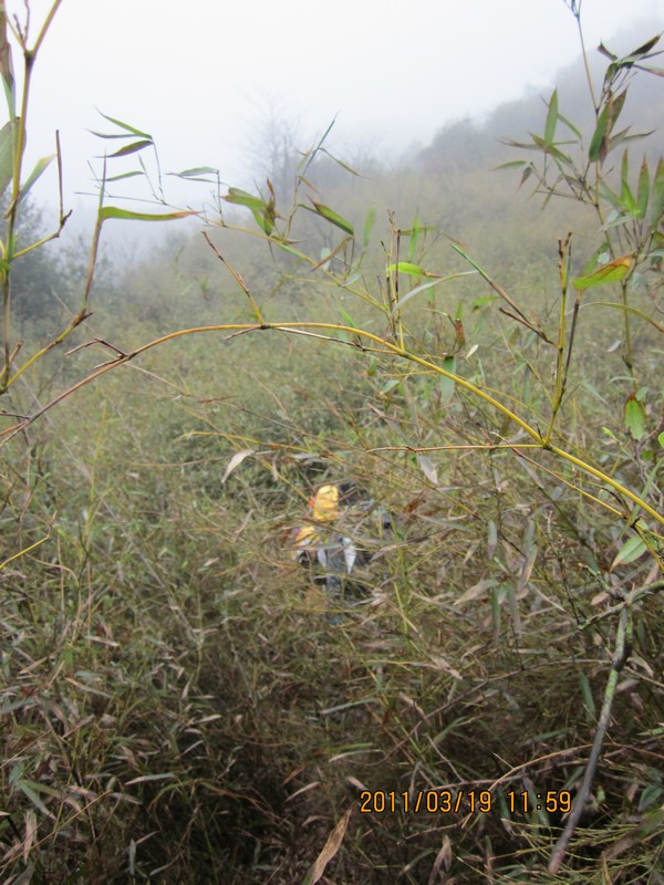IMG_0196.jpg