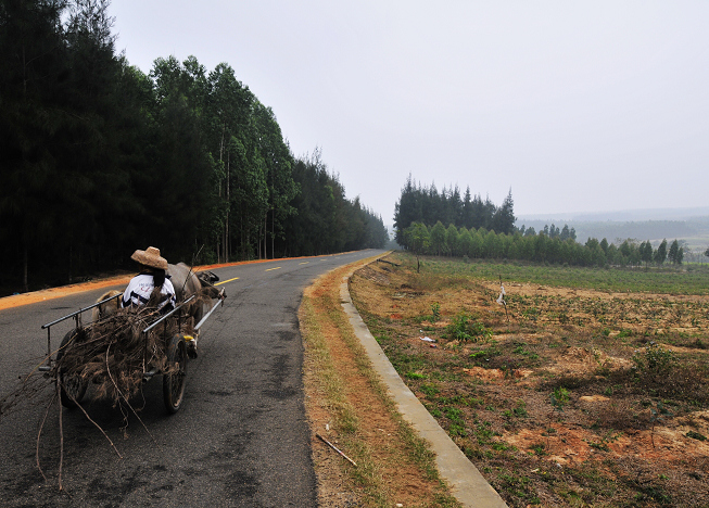 _DSC0377.jpg