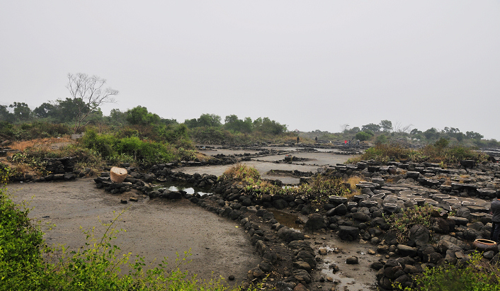 _DSC0475.jpg