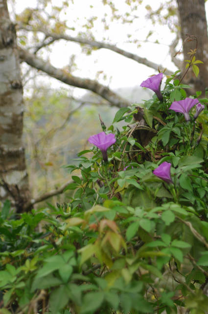 DSC_0095.jpg