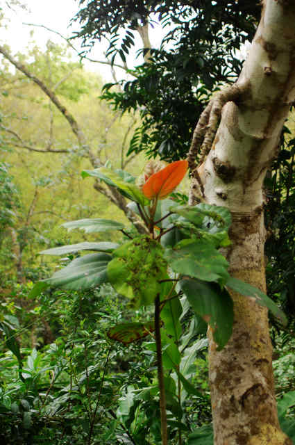 DSC_0097.jpg