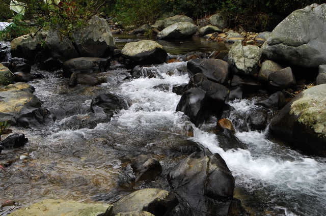 DSC_0124.jpg