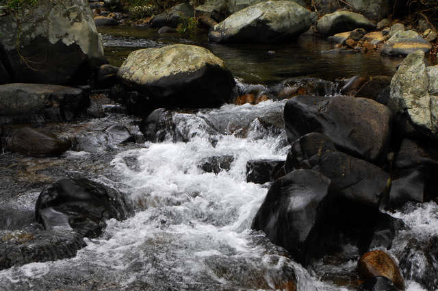 DSC_0125.jpg