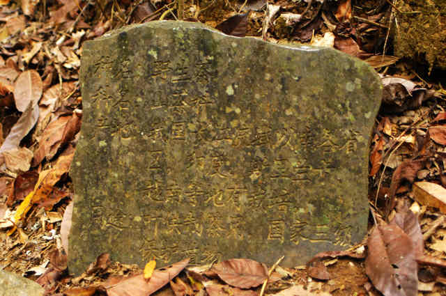 DSC_0132.jpg