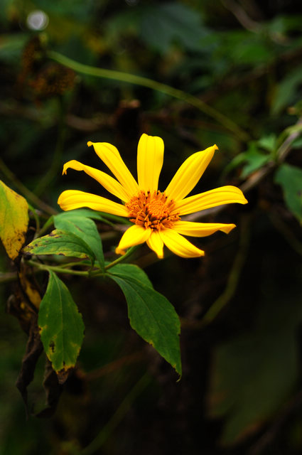 DSC_0146.jpg