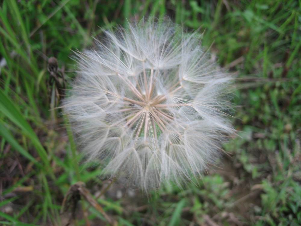 200765211251039.jpg