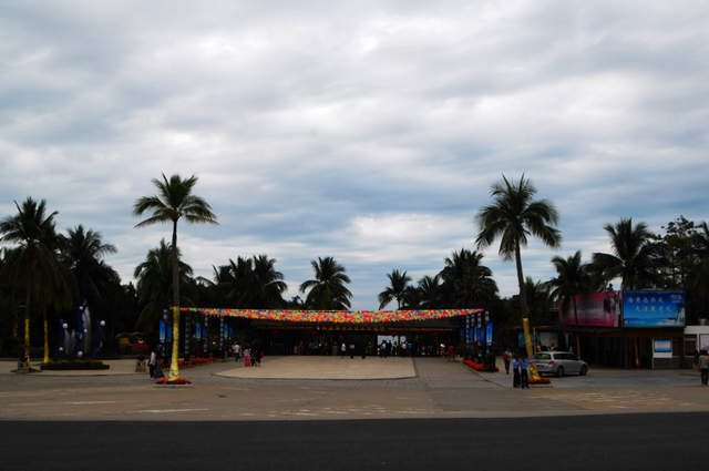 DSC_0050.jpg