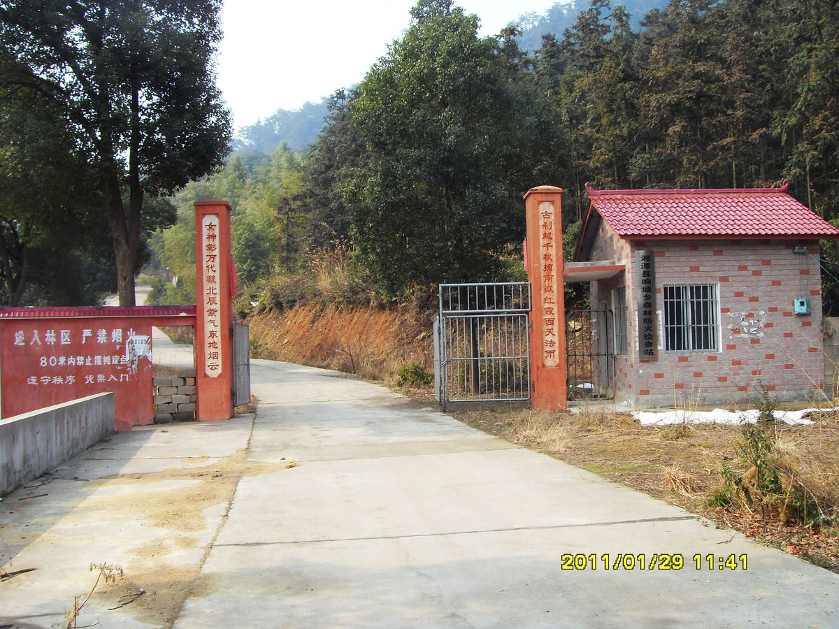 SDC18882.jpg