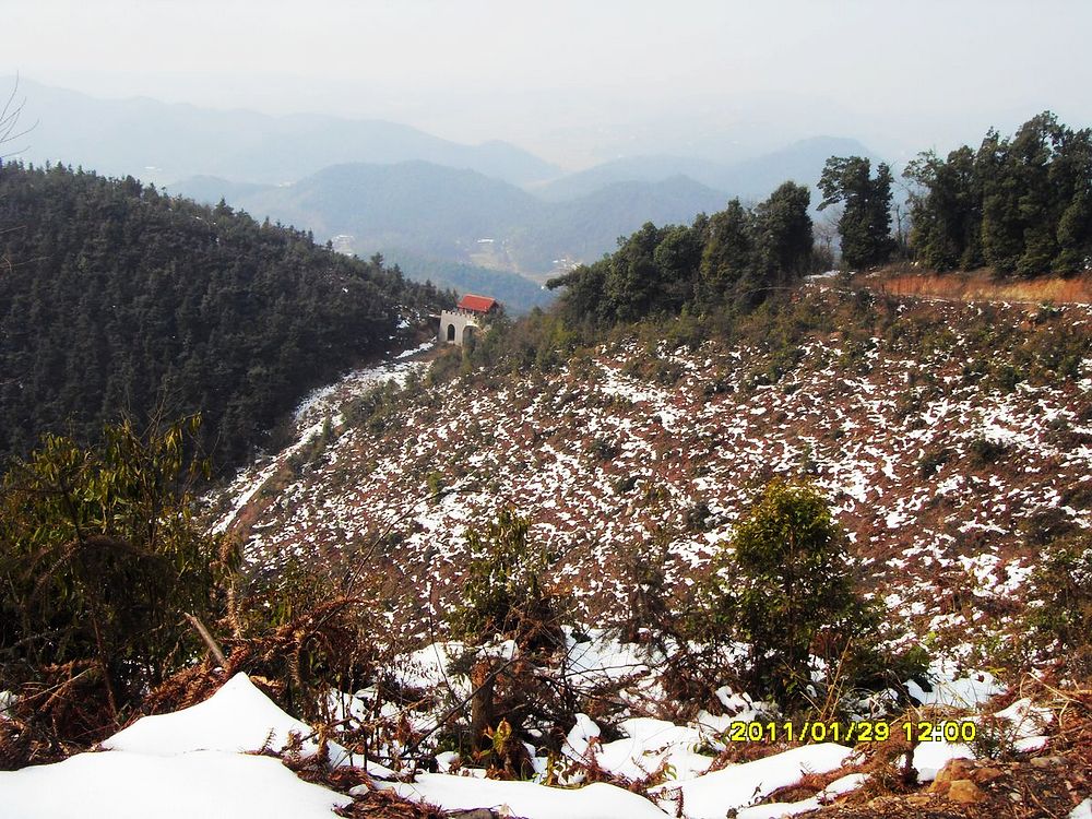 SDC18893.jpg