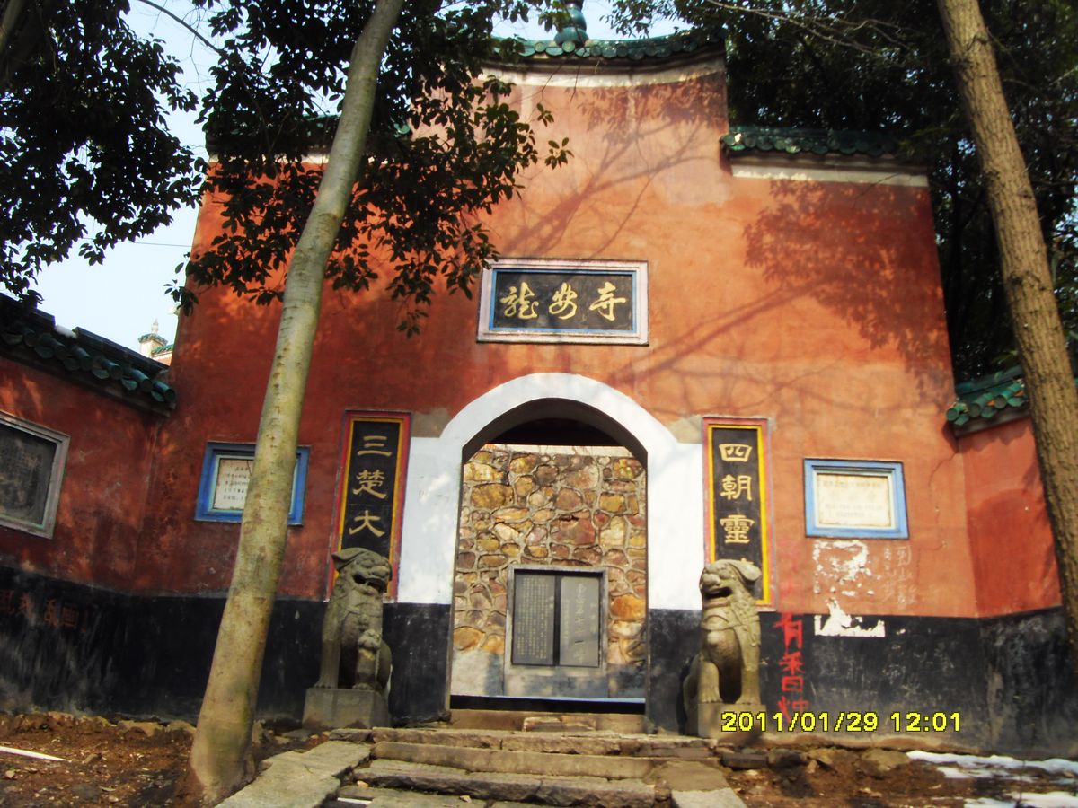 SDC18895.jpg