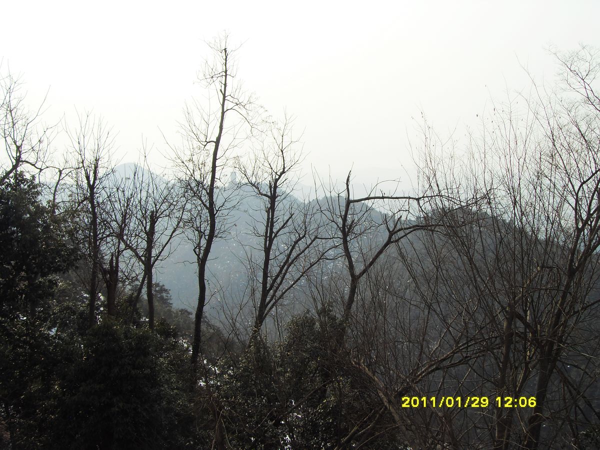 SDC18904.jpg