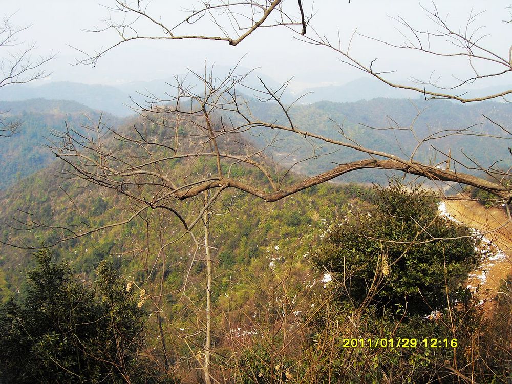 SDC18913.jpg