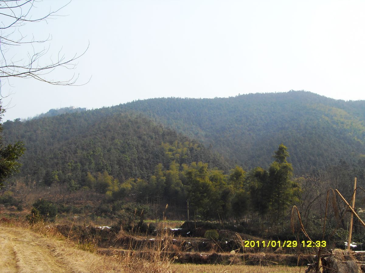 SDC18919.jpg