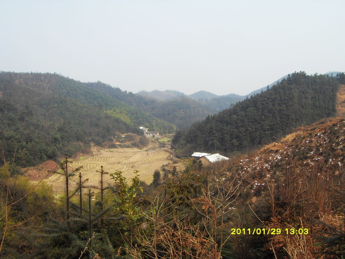 SDC18935.jpg