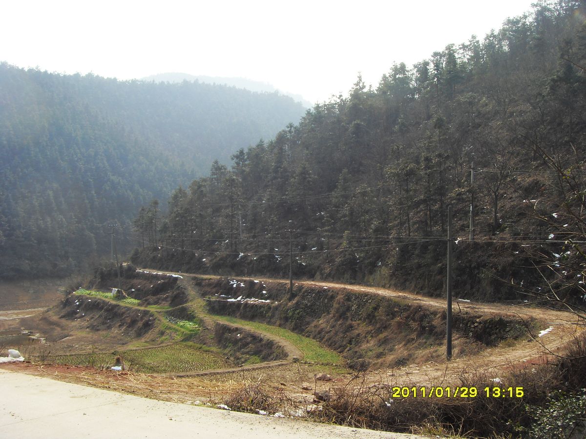 SDC18938.jpg