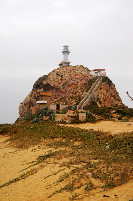 DSC_0101.jpg
