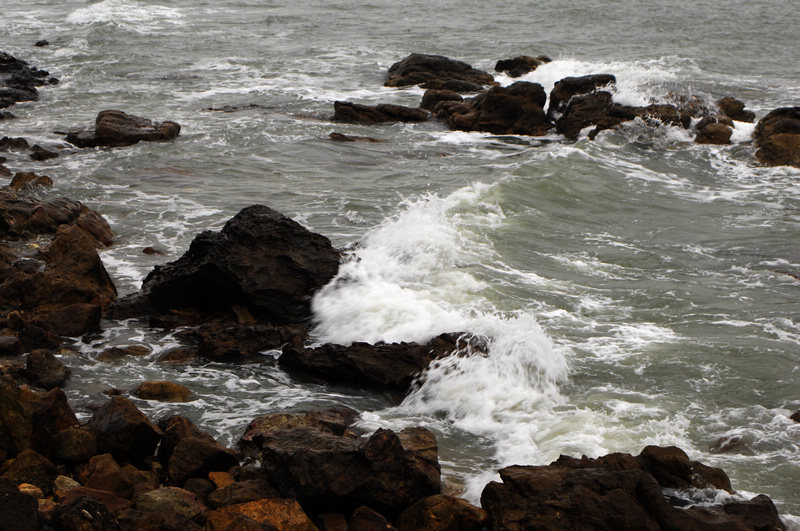 DSC_0135.jpg