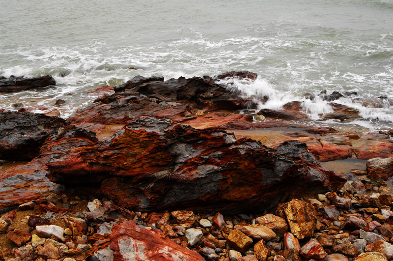 DSC_0138.jpg