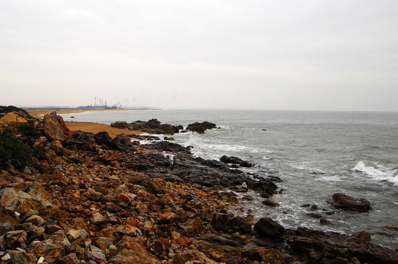 DSC_0130.jpg