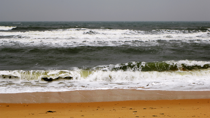 DSC_0195.jpg