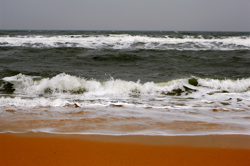 DSC_0196.jpg