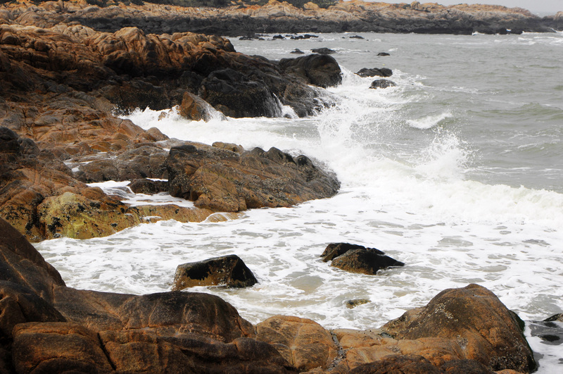 DSC_0226.jpg