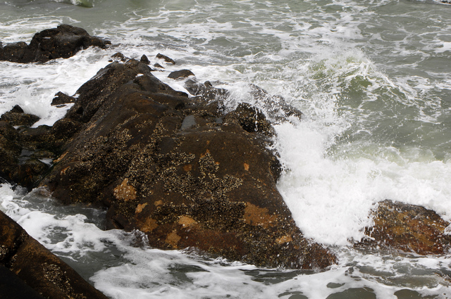 DSC_0227.jpg