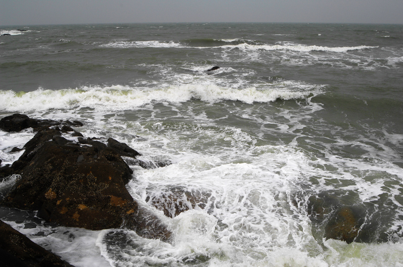 DSC_0244.jpg