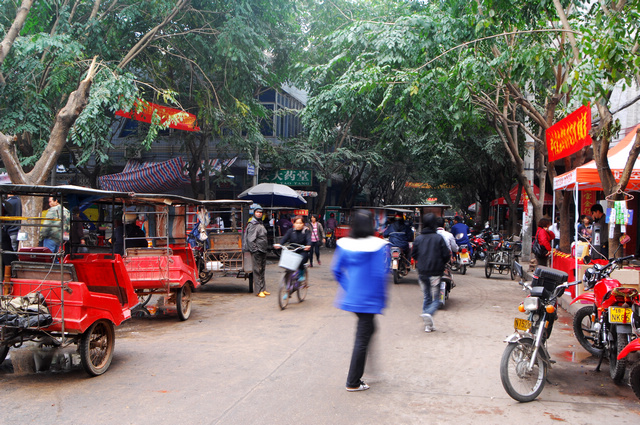 DSC_0315.jpg
