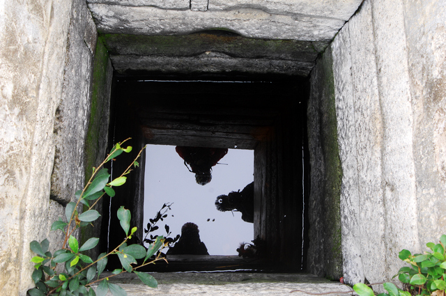 DSC_0372.jpg