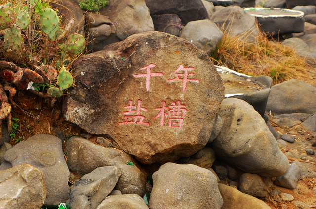 DSC_0441.jpg