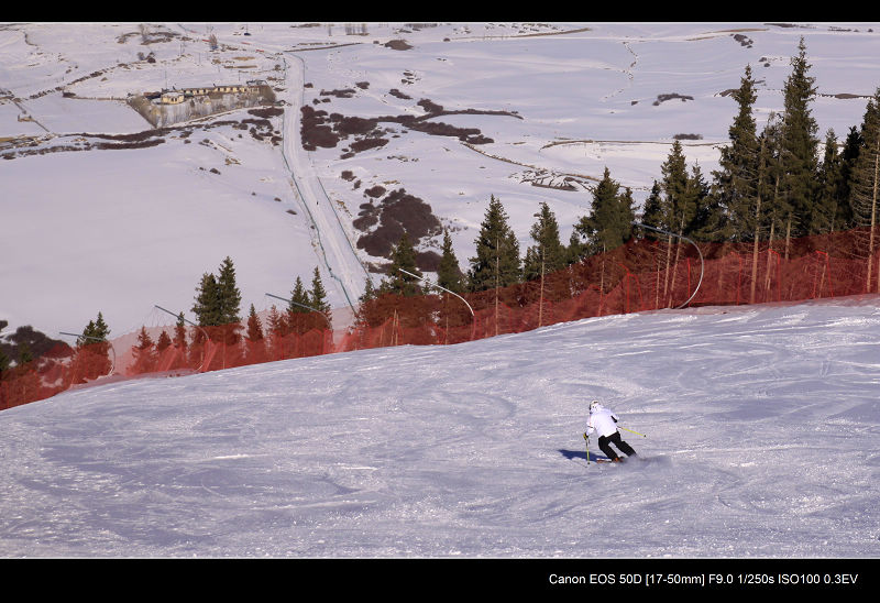 _MG_4345.jpg
