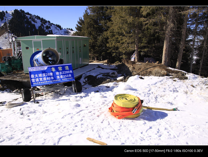 _MG_4298.jpg