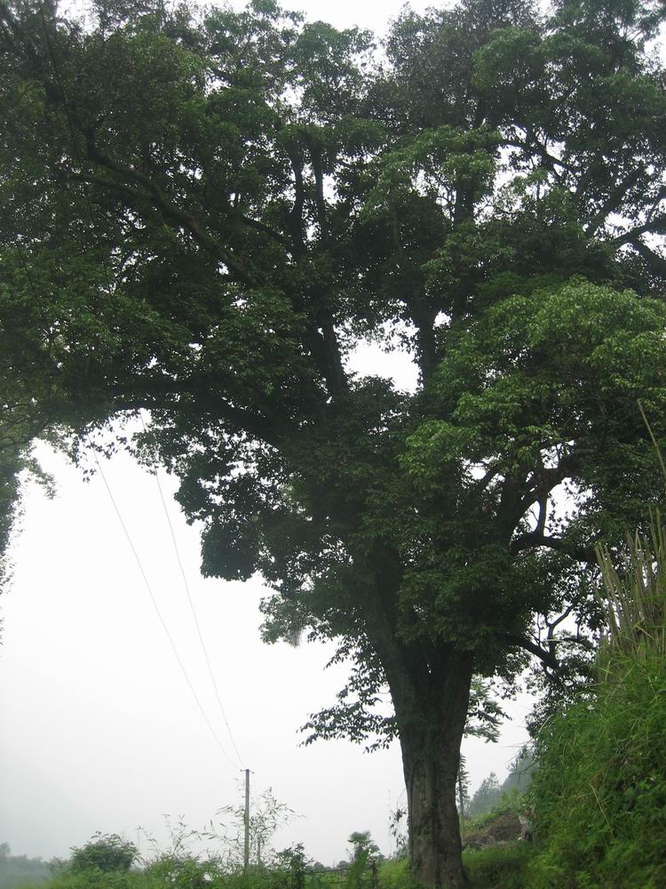 200765222831039.jpg