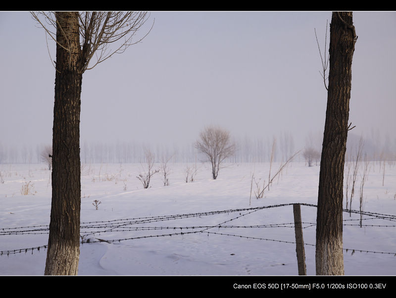 _MG_4483.jpg