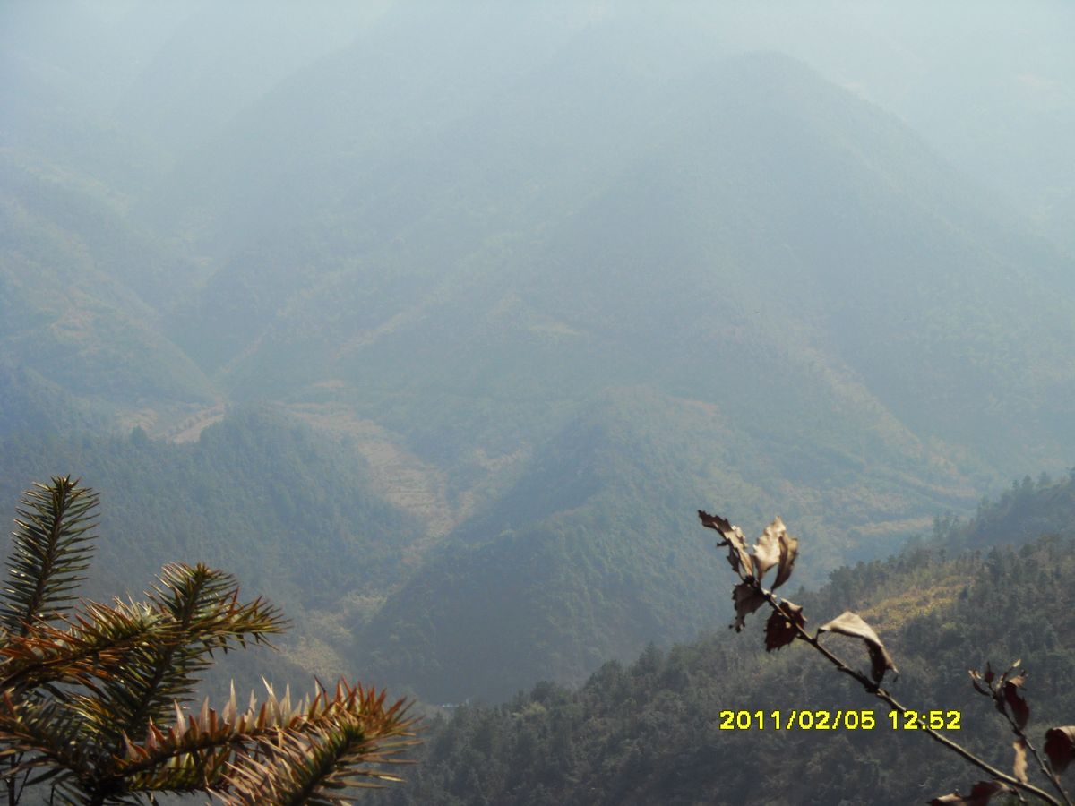 SDC19282.jpg